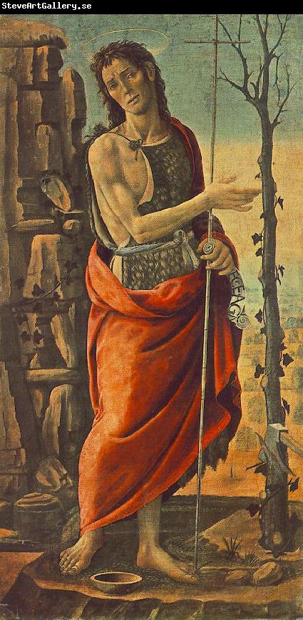 JACOPO del SELLAIO St John the Baptist f